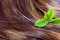 Wat is een haaroliebehandeling?